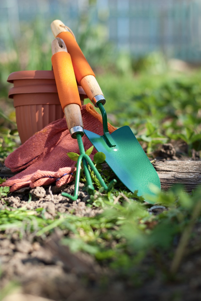 You Grow Community garden